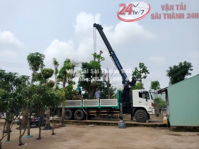 Thuê xe cẩu Huyện Củ Chi cây cảnh Thuê xe cẩu Huyện Củ Chi cây cảnh